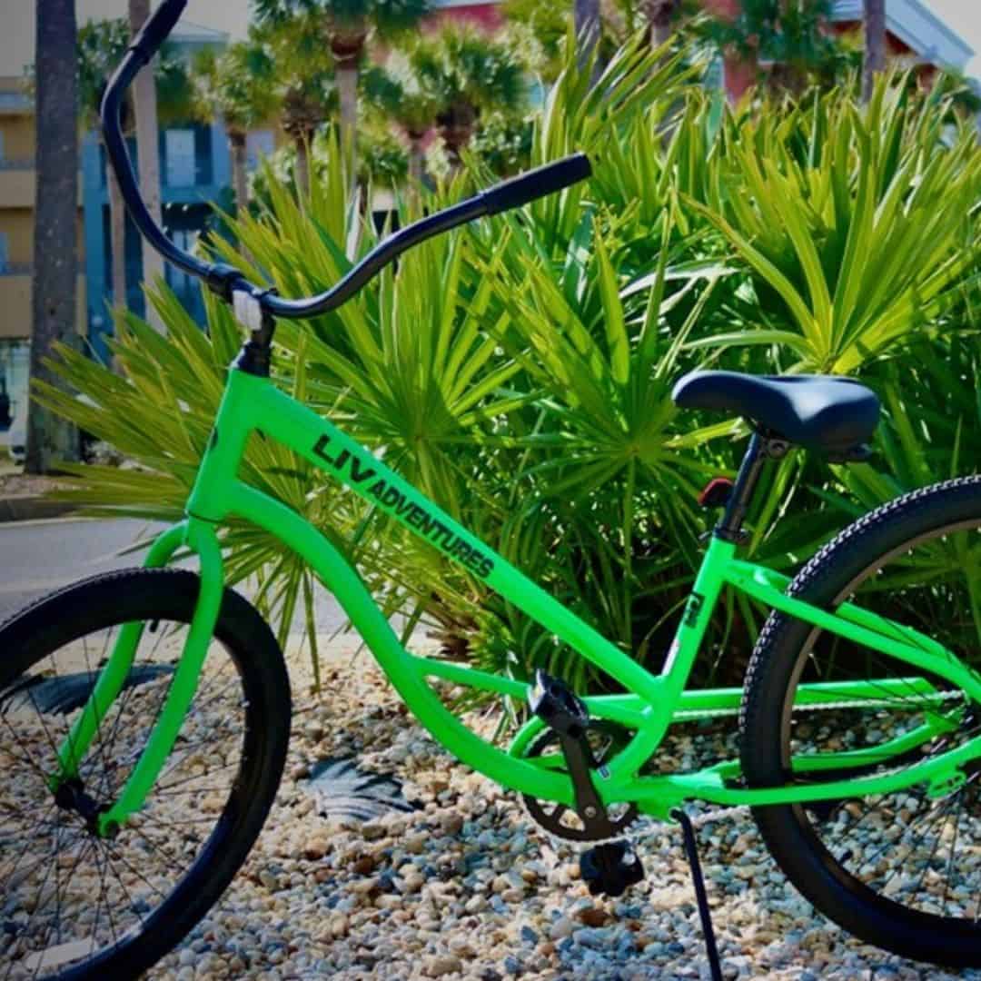 Bike Rentals